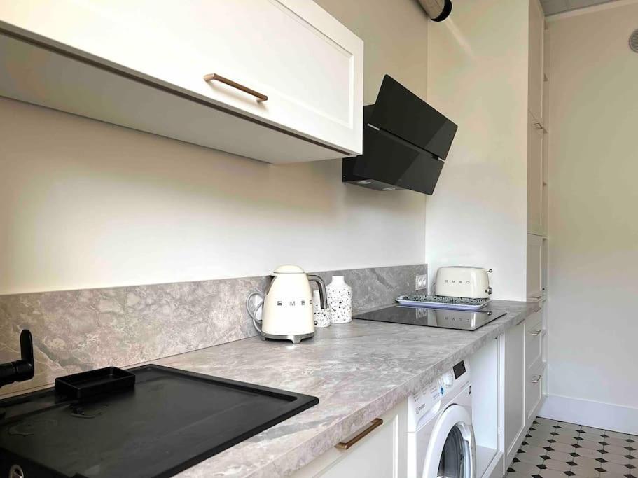 Appartement Entierement Renove Proche Gare Grenoble